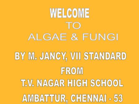 ALGAE ARE SIMPLE PLANTS, AS THEY PREPARE THEIR OWN FOOD THEY ARE CALLED AUTOTROPHS. THEY LIVE IN FRESH WATER, OCEANS, MOIST SOIL, MOIST WALLS, RIVERS.