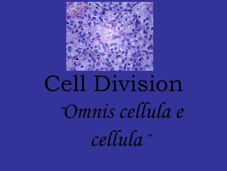 Cell Division “ Omnis cellula e cellula ”. The Key Roles of Cell Division Essential for perpetuation of life: Reproduction of unicellular forms Development,