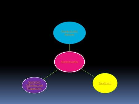 Actinomycetes Characteristic features Treatment Specimen Collection and Preparation.