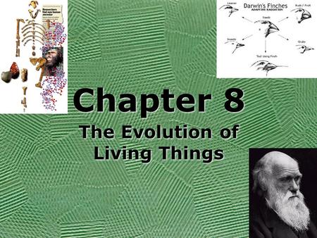 The Evolution of Living Things