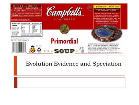 Evolution Evidence and Speciation