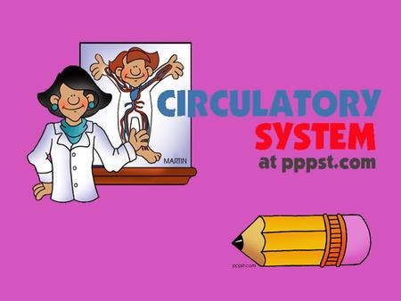 Circulation Your body resembles a large roadmap, There are routes or “arteries” that take you downtown to the “heart” of the city.