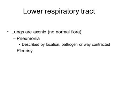 Lower respiratory tract