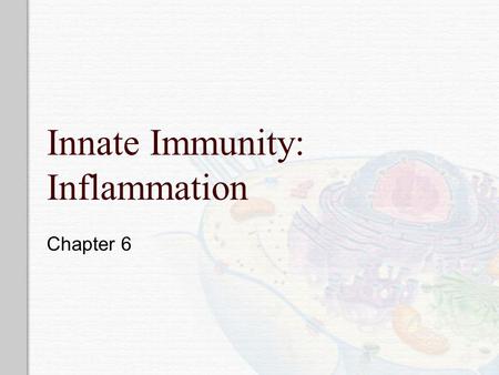 Innate Immunity: Inflammation Chapter 6. Immunity  First line of defense Innate resistance – physical (skin/epithelial layer, GI & Resp Tract),, mechanical.