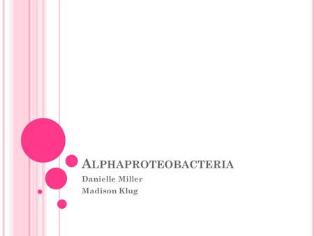 A LPHAPROTEOBACTERIA Danielle Miller Madison Klug.