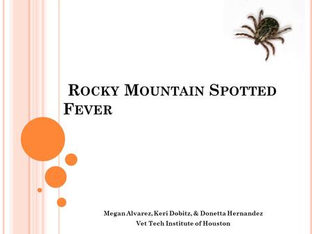 Rocky Mountain Spotted Fever