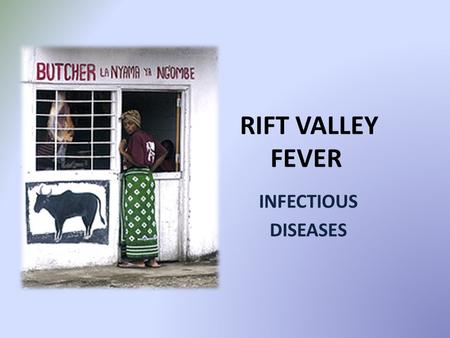 RIFT VALLEY FEVER INFECTIOUS DISEASES. Patient no 1 24yr farm labourer from Edenburg Presented with upper GIT bleeding to surgery on 10/3/2010 4/7 days.