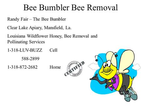 Bee Bumbler Bee Removal