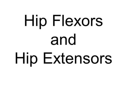 Hip Flexors and Hip Extensors