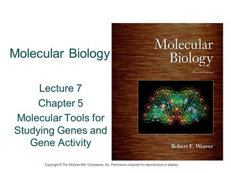 Molecular Tools for Studying Genes and Gene Activity