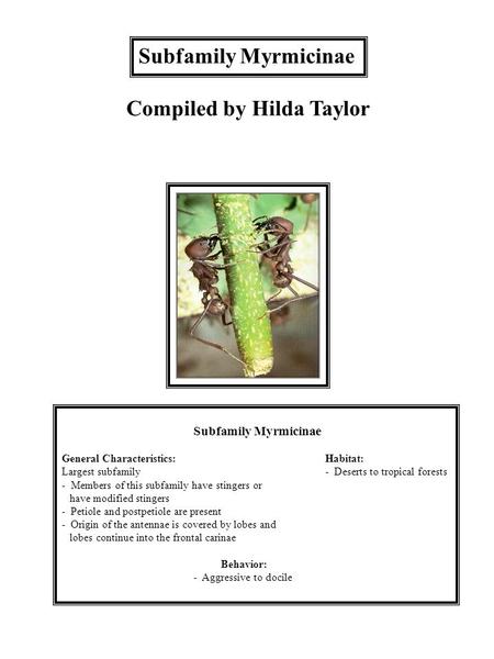 Subfamily Myrmicinae General Characteristics:Habitat: Largest subfamily- Deserts to tropical forests - Members of this subfamily have stingers or have.