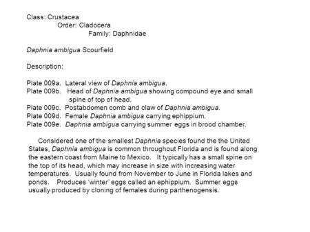 Class: Crustacea Order: Cladocera Family: Daphnidae Daphnia ambigua Scourfield Description: Plate 009a. Lateral view of Daphnia ambigua. Plate 009b. Head.