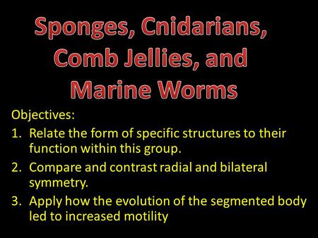 Objectives: 1.Relate the form of specific structures to their function within this group. 2.Compare and contrast radial and bilateral symmetry. 3.Apply.