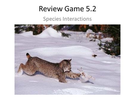 Review Game 5.2 Species Interactions. tooth brush : teeth :: comb : 1.hair 2.nails 3.ears 4.eyes Countdown 10 Response Grid.