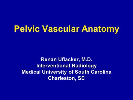 Pelvic Vascular Anatomy Renan Uflacker, M.D. Interventional Radiology Medical University of South Carolina Charleston, SC.