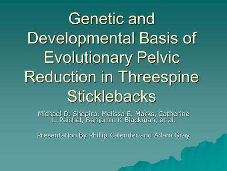 Genetic and Developmental Basis of Evolutionary Pelvic Reduction in Threespine Sticklebacks Michael D. Shapiro, Melissa E. Marks, Catherine L. Peichel,