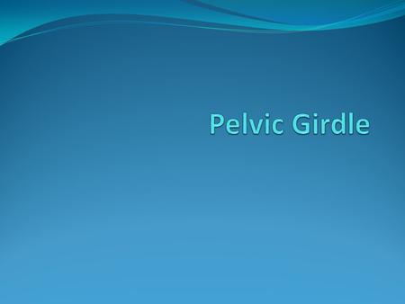 Lower limbs attach to the body at the pelvis. Pelvis is a ring of bone formed by the sacrum and two coxae. Each coxae is formed by three bones fused together.