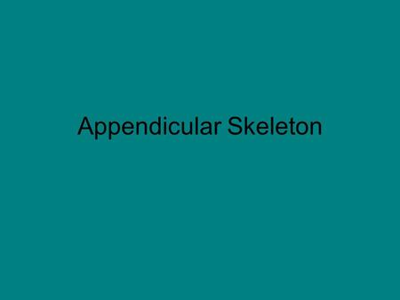 Appendicular Skeleton