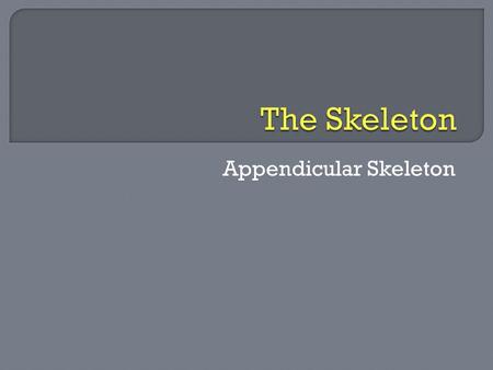 Appendicular Skeleton