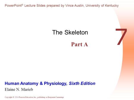 Copyright © 2004 Pearson Education, Inc., publishing as Benjamin Cummings Human Anatomy & Physiology, Sixth Edition Elaine N. Marieb PowerPoint ® Lecture.