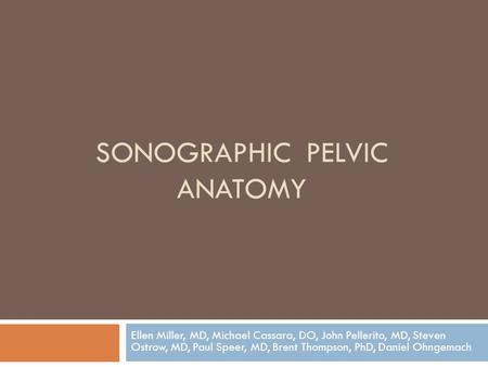 SONOGRAPHIC PELVIC ANATOMY Ellen Miller, MD, Michael Cassara, DO, John Pellerito, MD, Steven Ostrow, MD, Paul Speer, MD, Brent Thompson, PhD, Daniel Ohngemach.