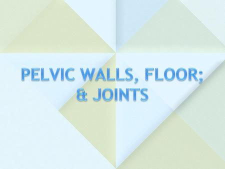 PELVIC WALLS, FLOOR; & JOINTS