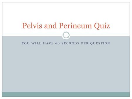 Pelvis and Perineum Quiz