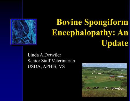 Bovine Spongiform Encephalopathy: An Update Linda A.Detwiler Senior Staff Veterinarian USDA, APHIS, VS.