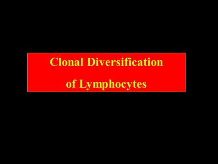 Clonal Diversification of Lymphocytes Review of last lecture Bone Marrow Thymus Whenever immature pre-T Cells recognize self-antigens, they are programmed.