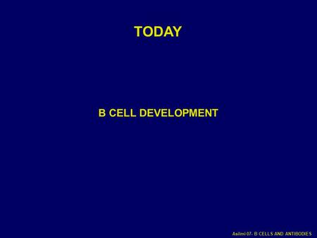 TODAY B CELL DEVELOPMENT.