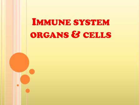 I MMUNE SYSTEM ORGANS & CELLS. I – S TEM OR M OTHER CELLS : It’s the place of the origin (Generation of lymphocytes) *found in the fetal liver during.