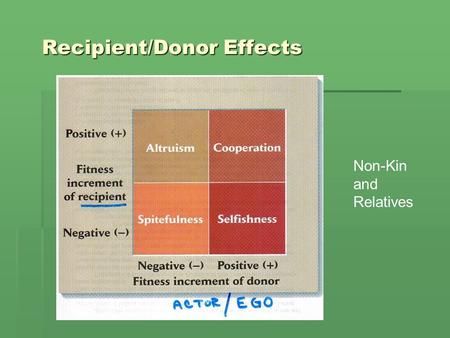 Recipient/Donor Effects Non-Kin and Relatives. Kin Selection Question: Reproductive Altruism Eusocial Insects Reproductive, Worker Castes Cooperative.