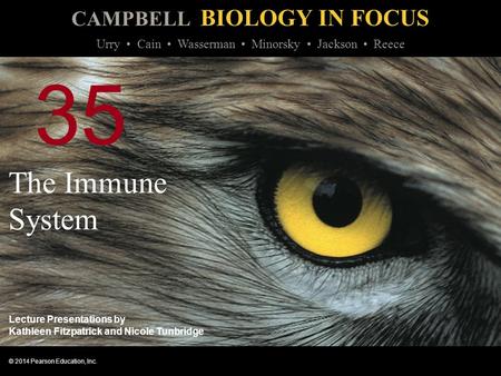 35 The Immune System.