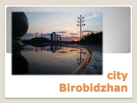 City Birobidzhan. ZAGS, beside which were situated exciting two birds. Can be, they and pertain to town small sculpture, on pleasantly look.