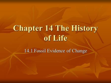 Chapter 14 The History of Life