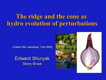 The ridge and the cone as hydro evolution of perturbations (Cathie BNL workshop, Feb,2009) Edward Shuryak Stony Brook (Cathie BNL workshop, Feb,2009) Edward.