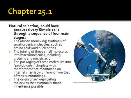 Chapter 25.1 Natural selection, could have produced very Simple cells through a sequence of four main stages: The abiotic (nonliving) synthesis of small.