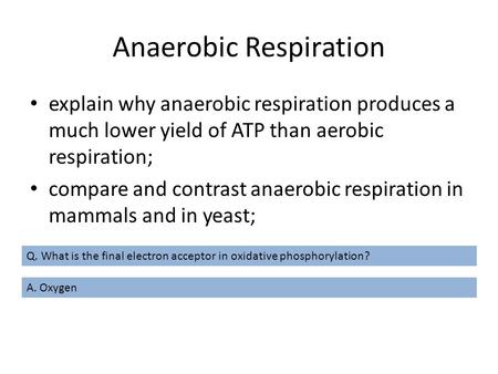 Anaerobic Respiration