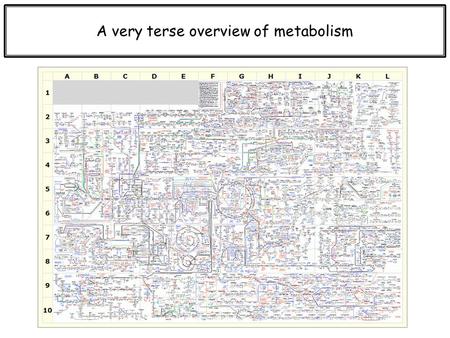 A very terse overview of metabolism. Anabolism vs. Catabolism “lysis” i.e., glycolysis “genesis” i.e., gluconeogenesis.