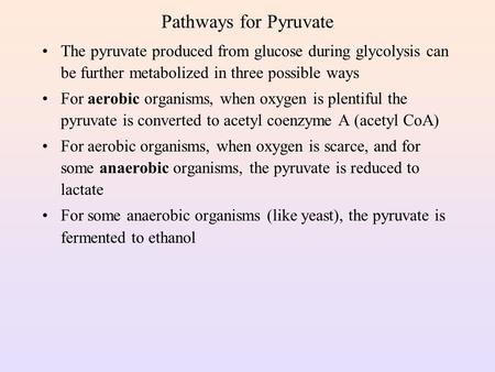 Pathways for Pyruvate The pyruvate produced from glucose during glycolysis can be further metabolized in three possible ways For aerobic organisms, when.