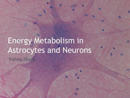 Energy Metabolism in Astrocytes and Neurons Yufeng Zhang.