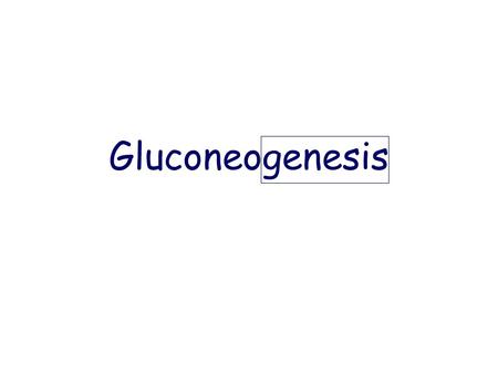 Gluconeogenesis.