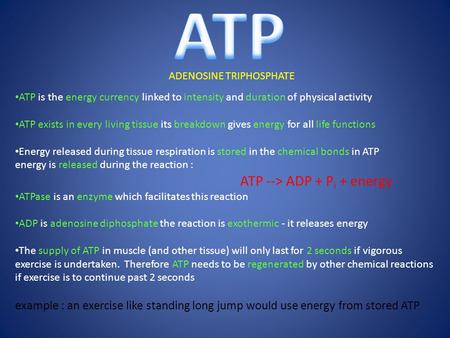 ADENOSINE TRIPHOSPHATE