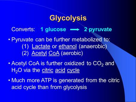 Glycolysis Converts: 1 glucose 2 pyruvate Pyruvate can be further metabolized to: (1) Lactate or ethanol (anaerobic) (2) Acetyl CoA (aerobic) Acetyl CoA.