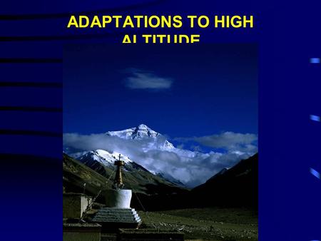 ADAPTATIONS TO HIGH ALTITUDE. VENTILATION BICARBONATE IONS 2,3-DIPHOSPHOGLYCERATE (2,3-DPG) RED BLOOD CELL (RBC) AND HEMOGLOBIN (H b ) CONCENTRATION CAPILLARIZATION.