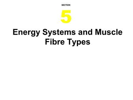 Energy Systems and Muscle Fibre Types