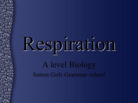 Respiration A level Biology Sutton Girls Grammar school.