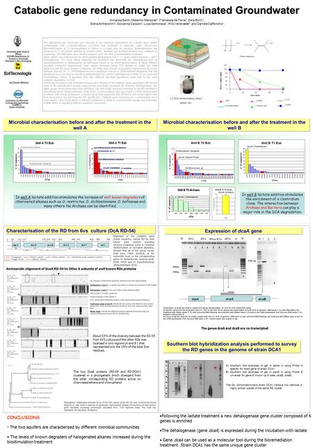 A b c d e f A B C RDsèèuu.,.,.,., Microbial characterisation before and after the treatment in the well A Annalisa Balloi, Massimo Marzorati 1, Francesca.