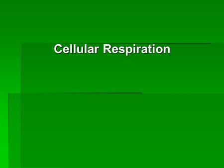 Cellular Respiration. Photosynthesis & Cellular Respiration are complimentary processes.