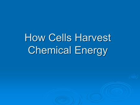 How Cells Harvest Chemical Energy